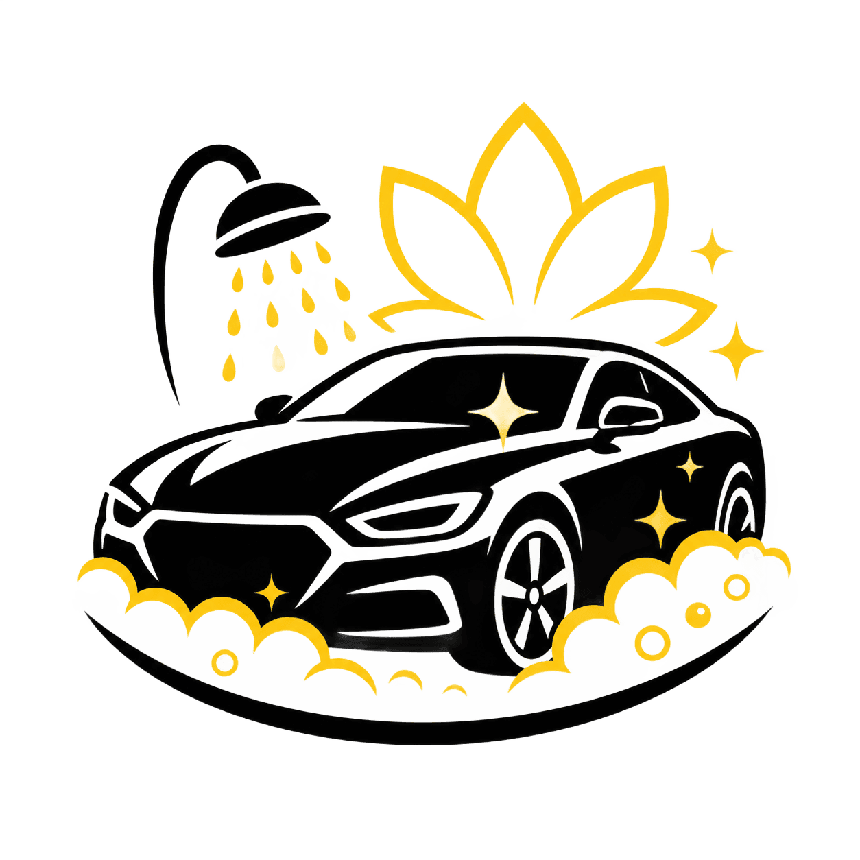 Car Spa Services